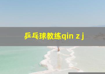 乒乓球教练qin z j